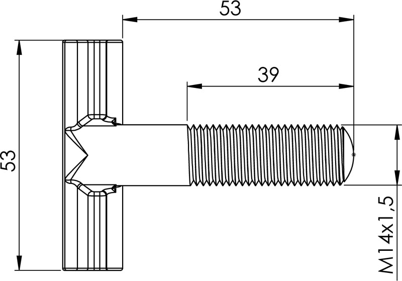 T-Stück Record H208
